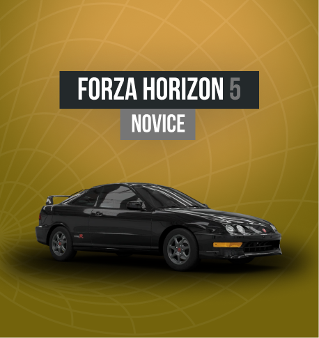 Novice account